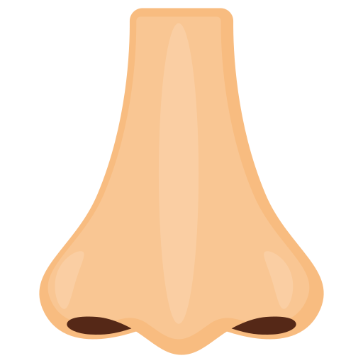 a human nose with two nostrils